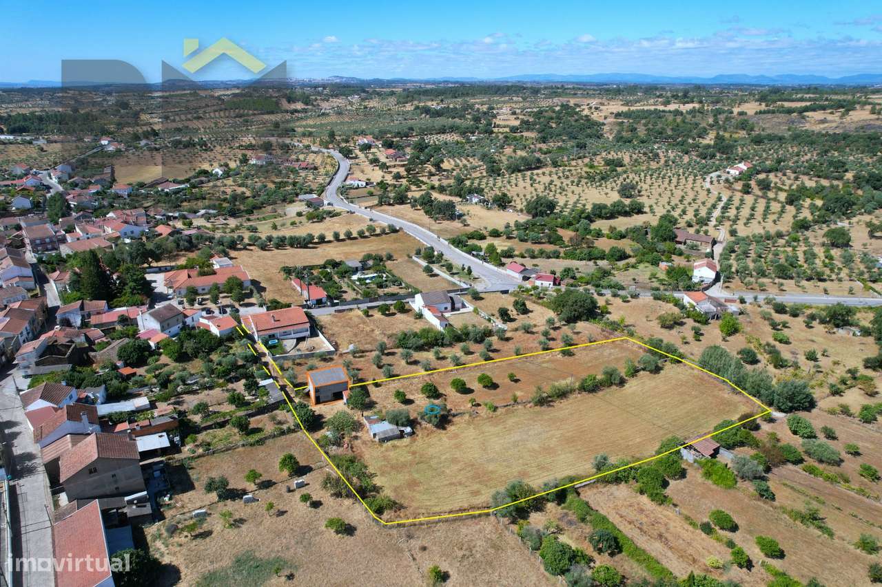 Terreno Rústico  Venda em Escalos de Baixo e Mata,Castelo Branco - Grande imagem: 3/23