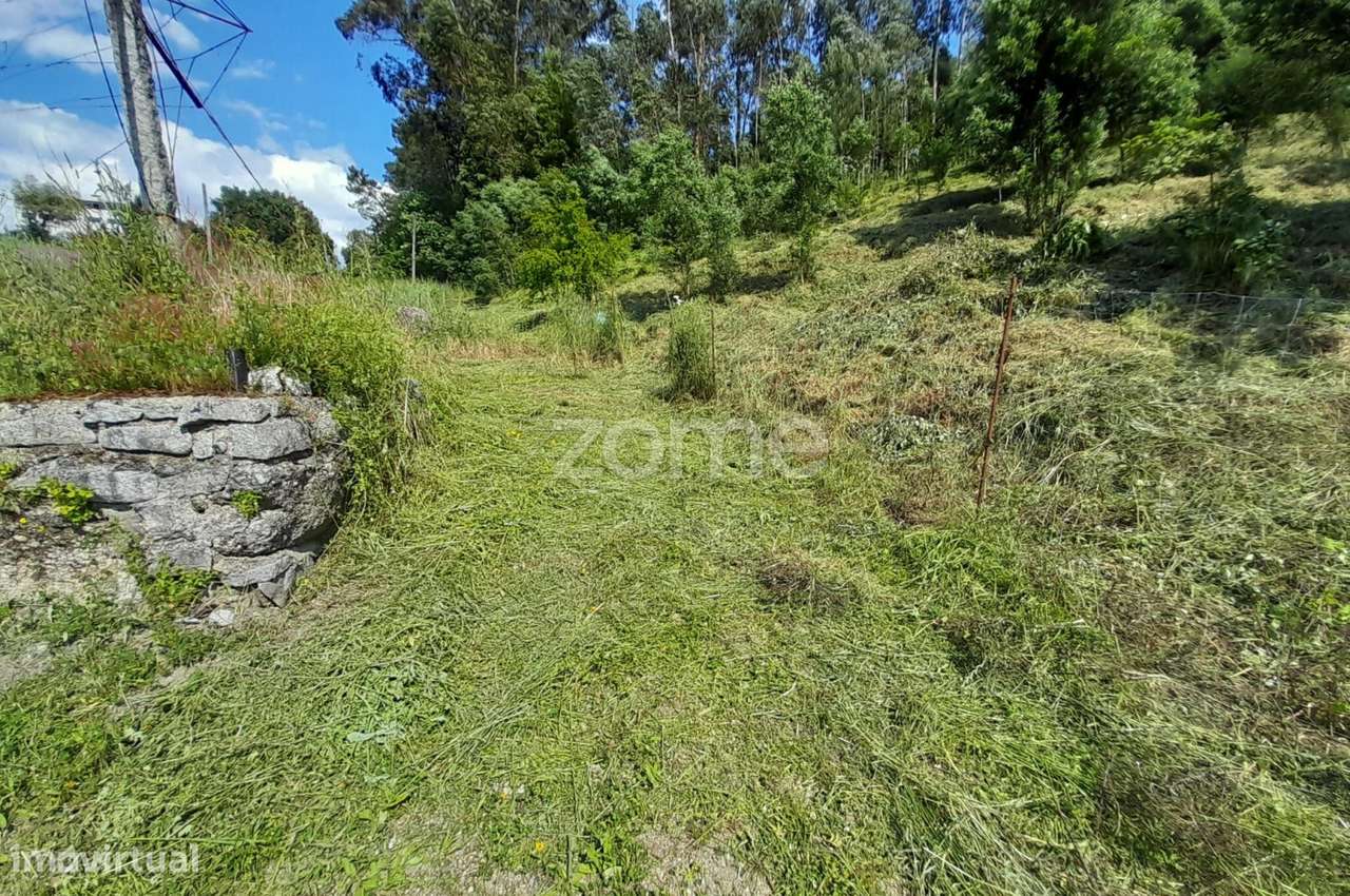 Terreno Urbanizável na Rua do Sá, Esporões-5