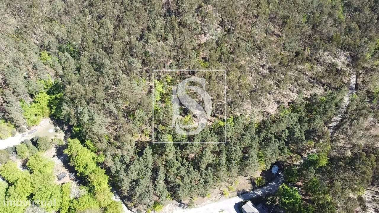 Terreno  Venda em Mosteiro,Vieira do Minho-21