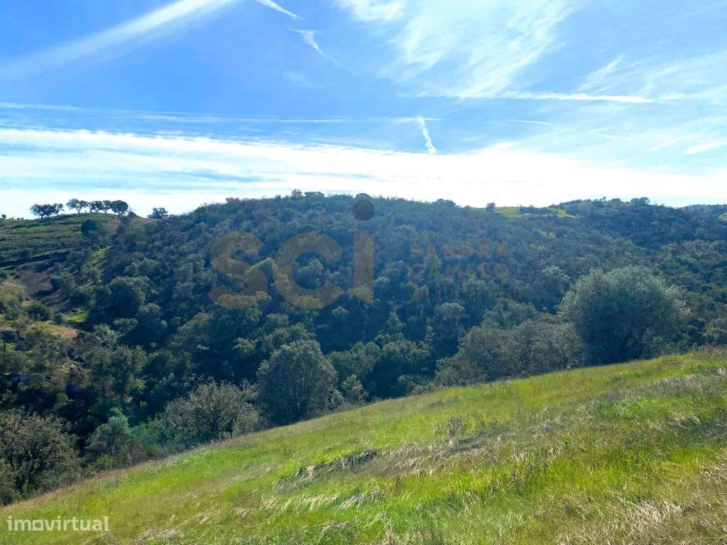 Quinta Isolada no Alentejo, para recuperar, com vista desafogada e ... - Grande imagem: 5/56