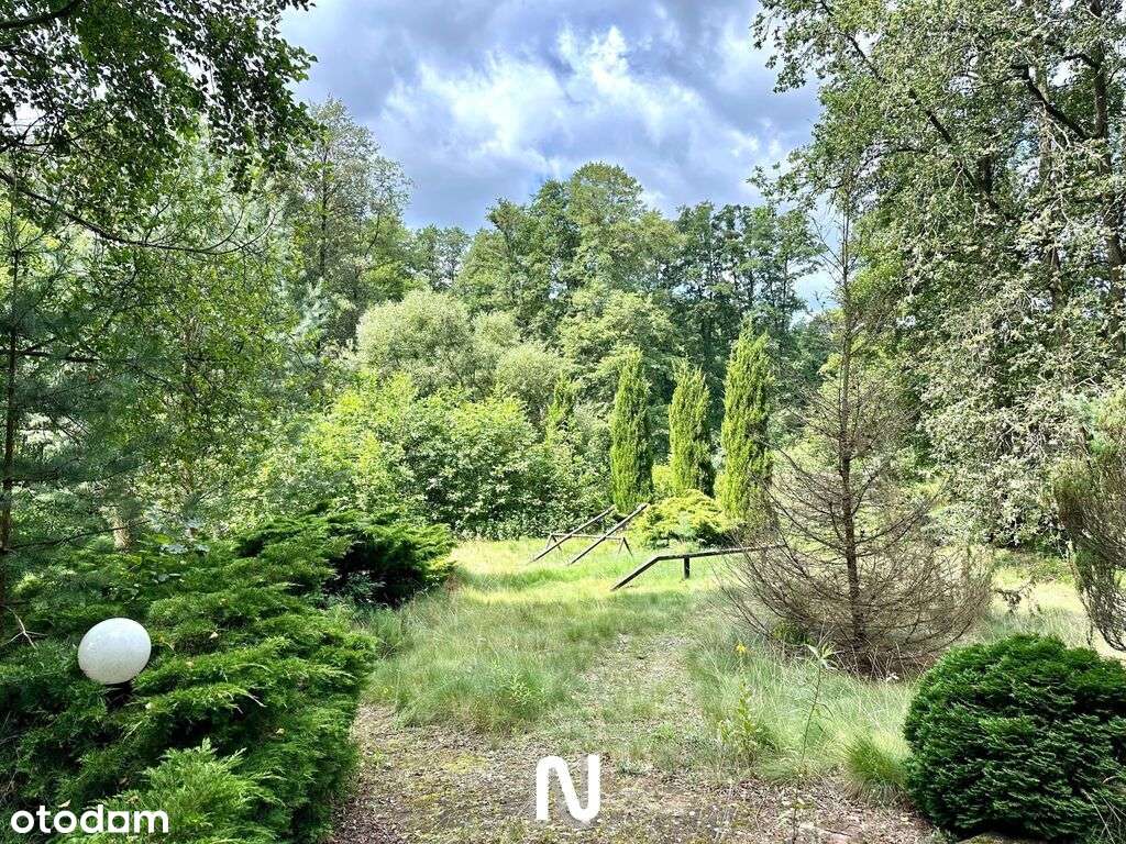 Wyjątkowy teren w doskonałej lokalizacji!-15