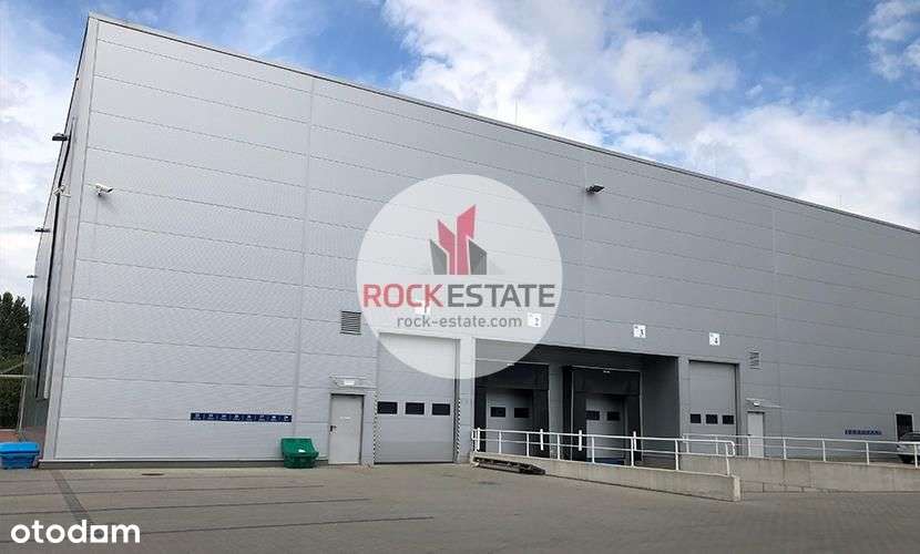 Magazyn do wynajęcia 1056 m2 z antresolą - 0% prow-4