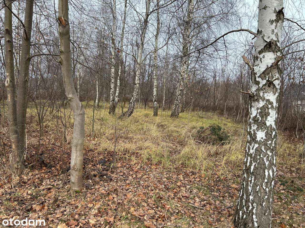 Granice-Teresin, ul. Rajska | 888 m² | MPZP | dojazd, infrastruktura - Pełny obrazek: 5/8