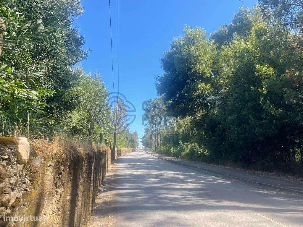 Terreno Pinhal para Venda - Grande imagem: 5/11