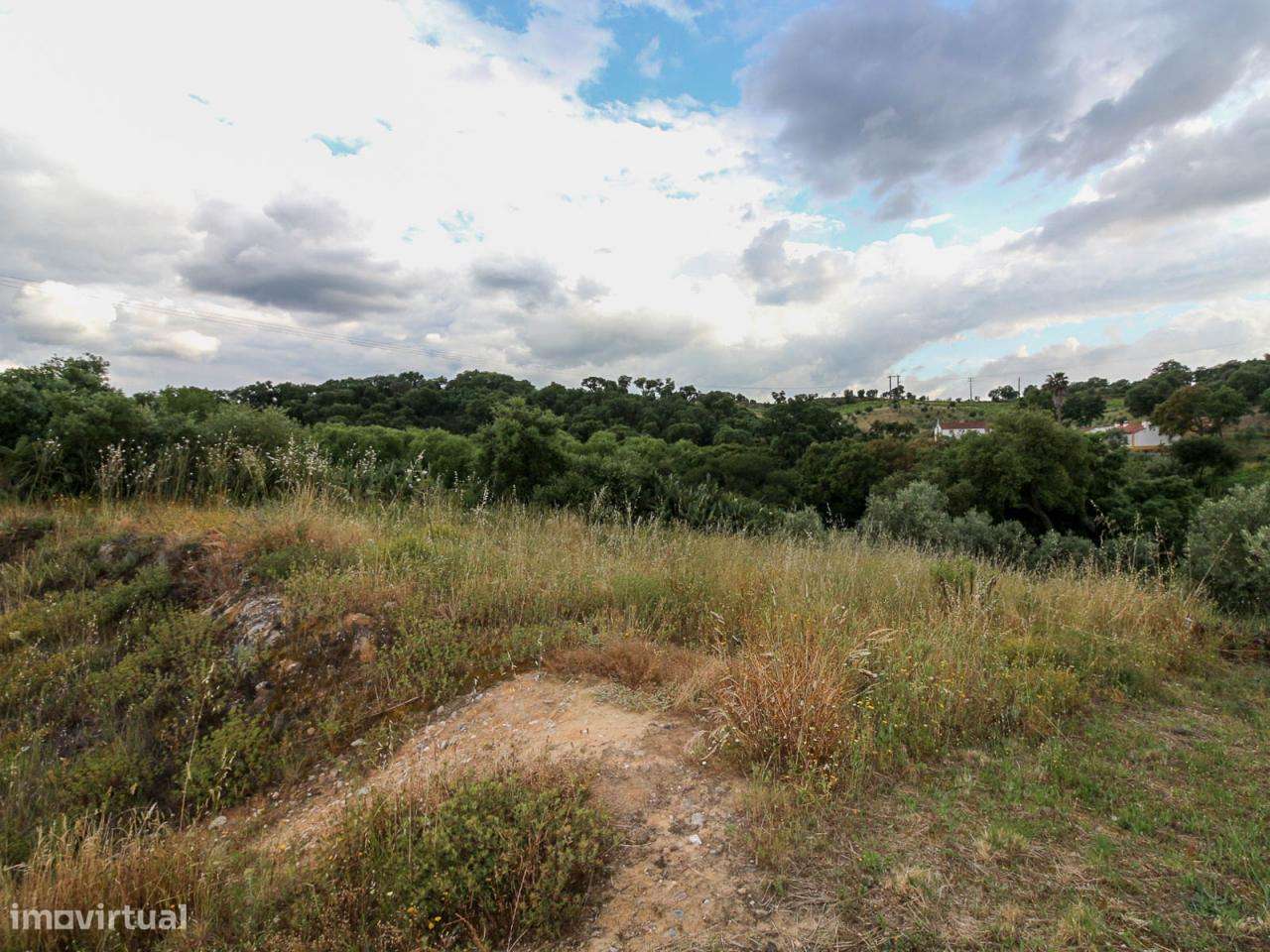Terreno para Construção de Moradia na Chamusca - Grande imagem: 2/6