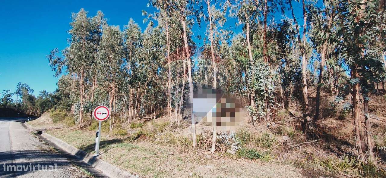 Terreno  para venda - Grande imagem: 3/5
