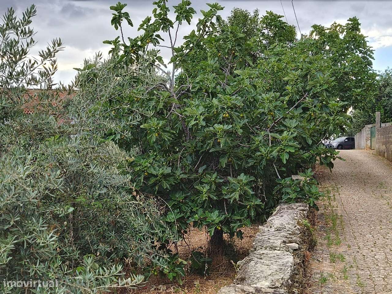 Terreno rustico-5