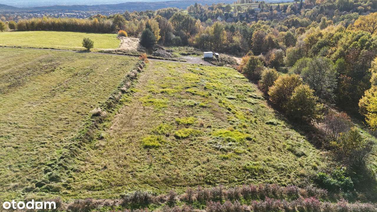 Gmina Czernichów, Rybna – 53 ary - Pełny obrazek: 3/7