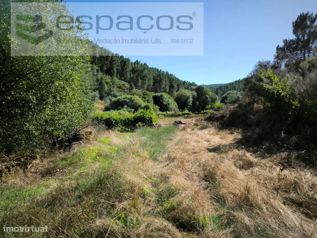 Terreno Agrícola - Grande imagem: 5/13