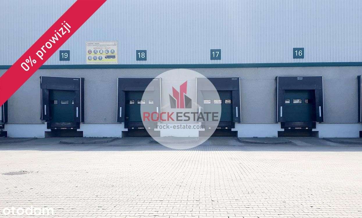 Magazyn 2500 m2 w Chorzowie od zaraz - 0% - Pełny obrazek: 4/9