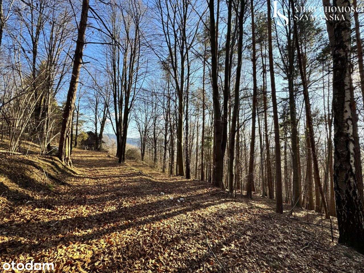Urokliwy dom z bali z widokiem na Tatry-2