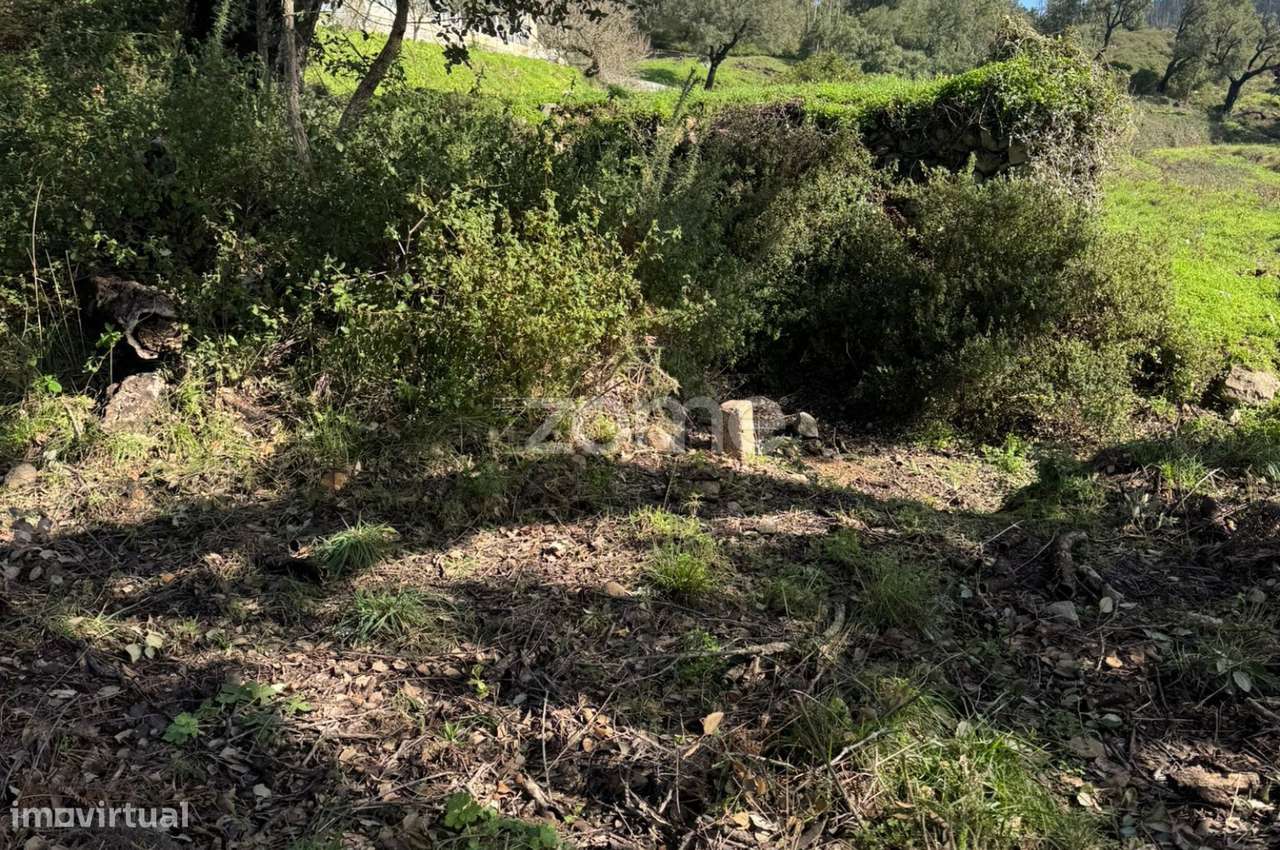Terreno rústico localizado em Corte Grande, Monchique - Grande imagem: 2/15
