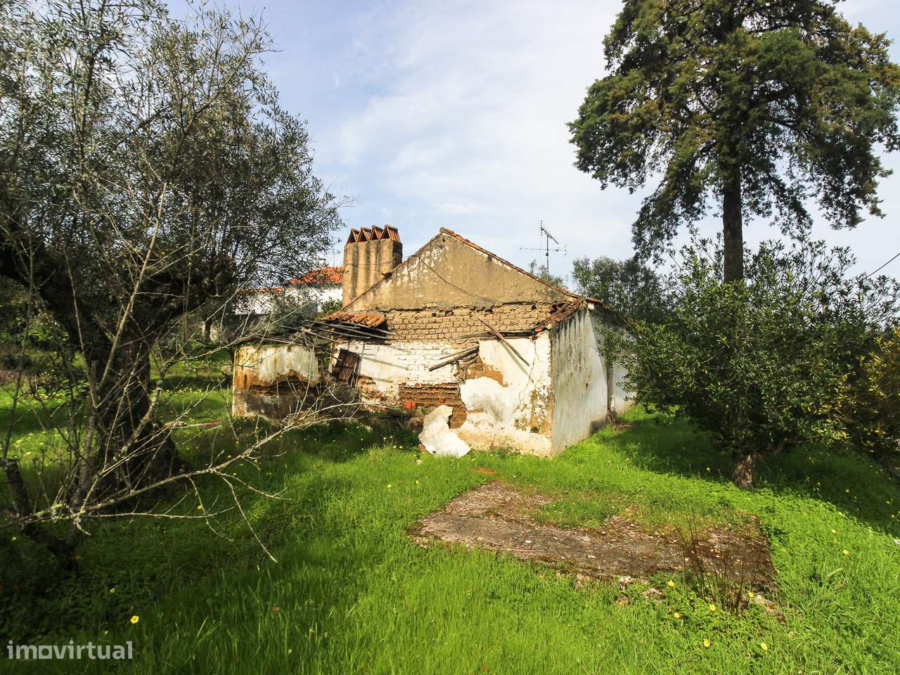 Terreno com cerca de 1 Hectare-15