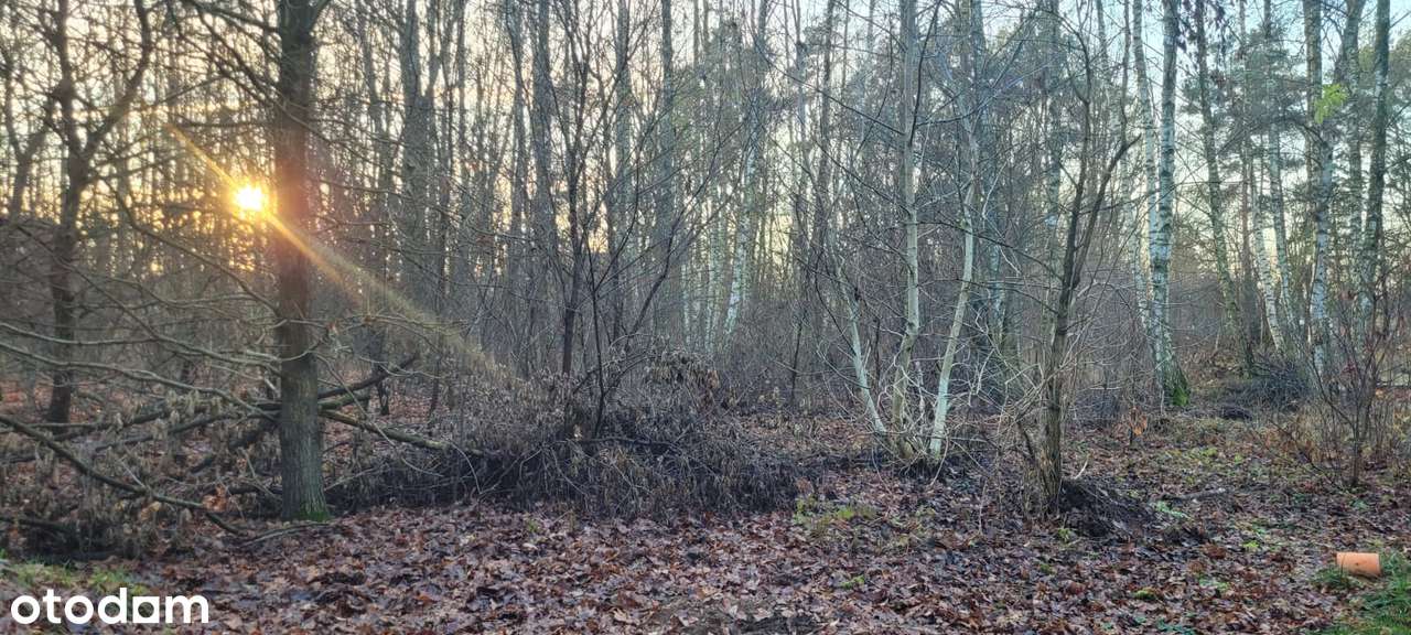 Działka budowlana, ciche i spokojne miejsce Grodzisk Mazowiecki. - Pełny obrazek: 5/11