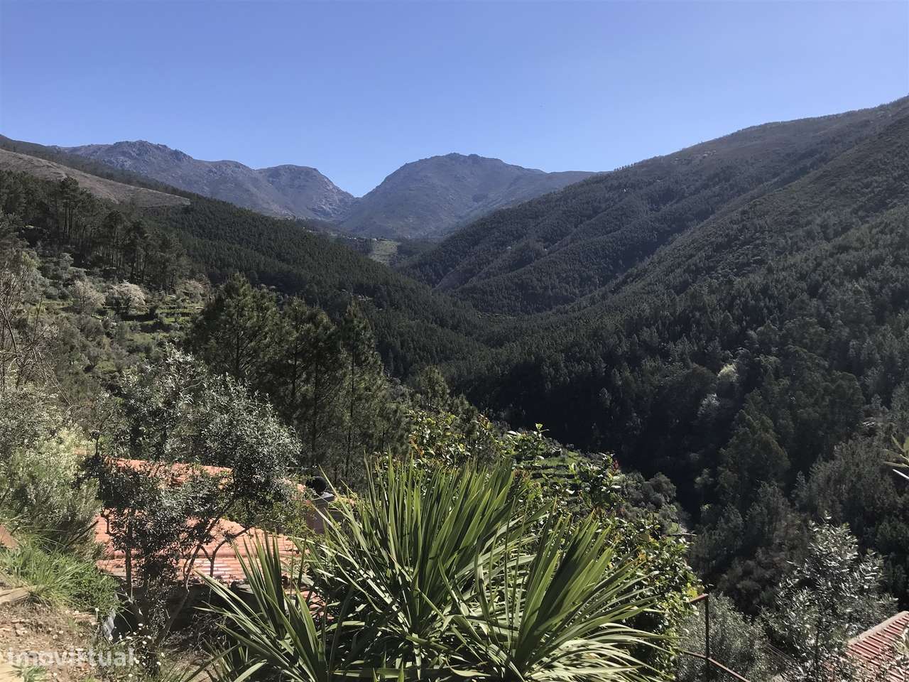 Quintinha  Venda em Vide e Cabeça,Seia - Grande imagem: 4/6