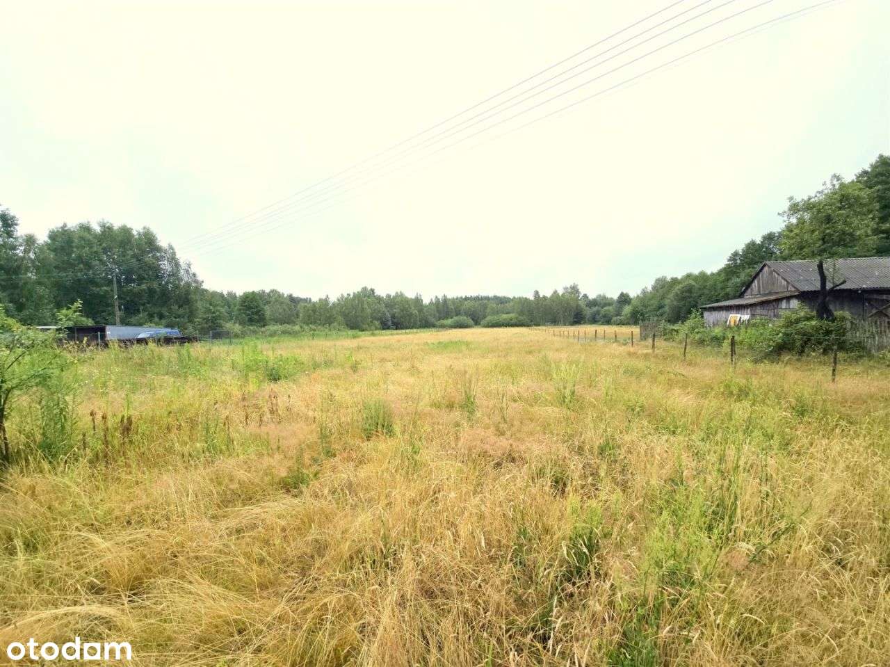 Urokliwa okolica leśny klimat super dojazd Warszwa-5