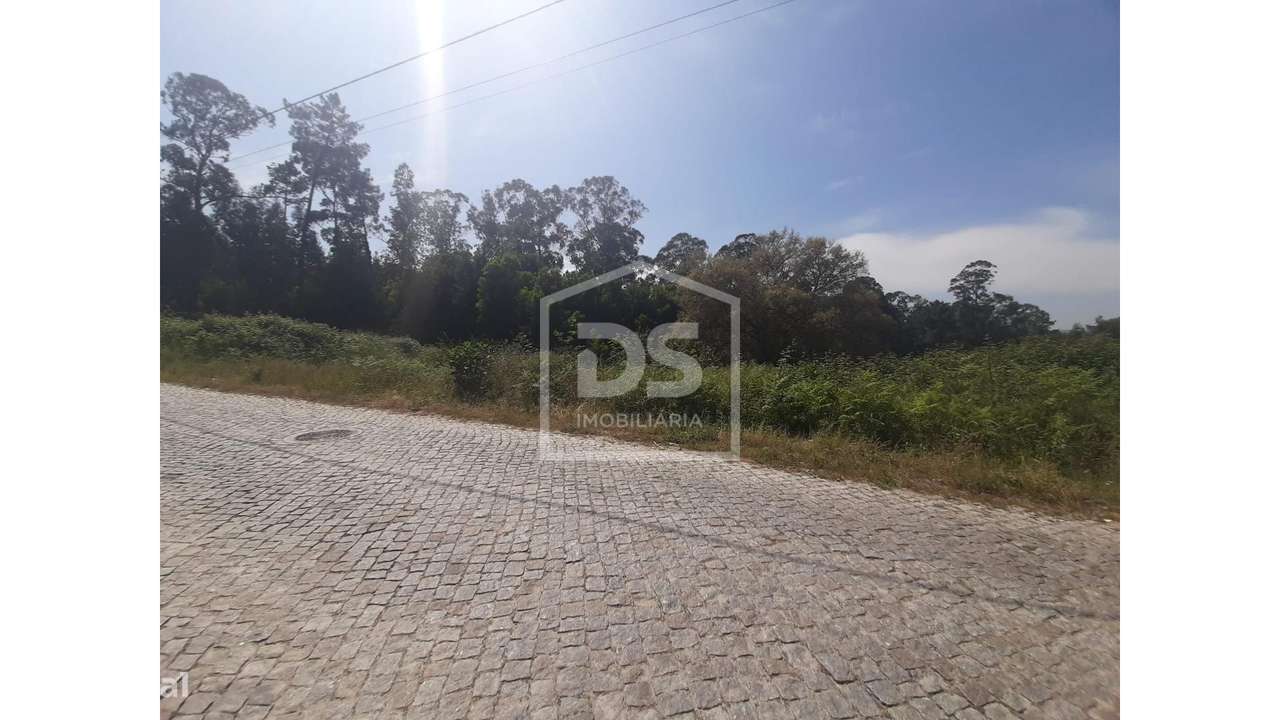 Terreno  Venda em Bustelo,Penafiel - Grande imagem: 2/23