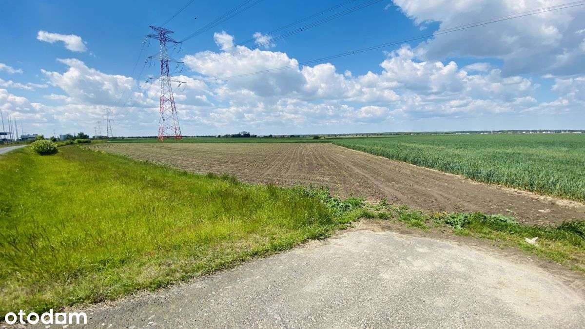 ✅Działka Przy A2 i S11 ✅ - Pełny obrazek: 5/7