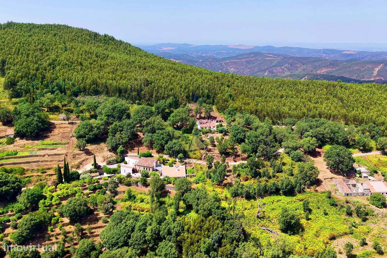 Terreno rústico com 7120 m2 na Fóia - Monchique - Grande imagem: 4/14