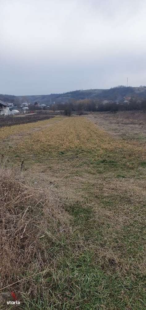 Teren intravilan milesti -simnicul de sus - Carpe Diem Imobiliare - Imagine principală: 4/6