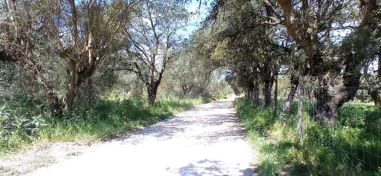 Terreno  para venda - Grande imagem: 2/9