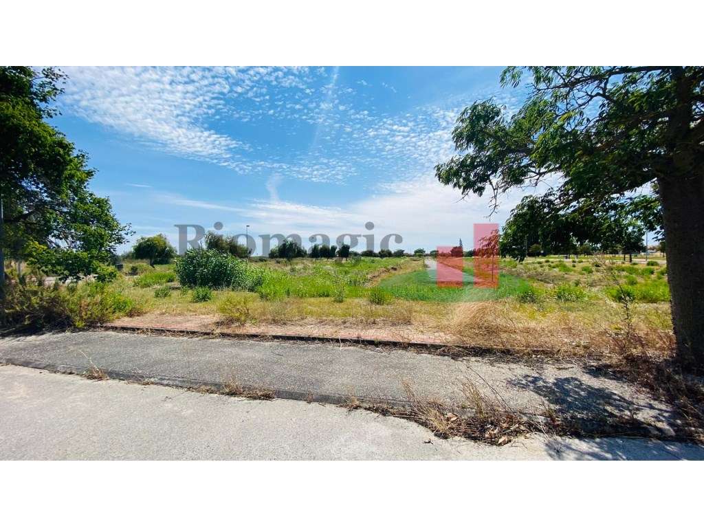 Lote Terreno Entroncamento para Moradia - Grande imagem: 3/23