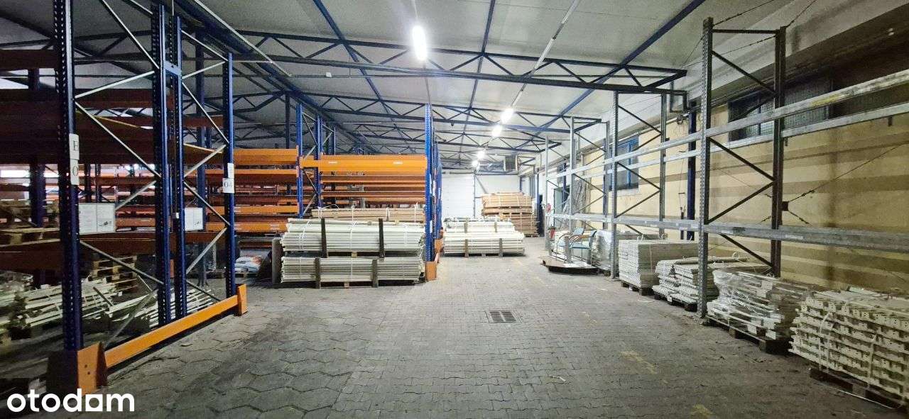 Hala Wysokiego Składowania z Regałami - 530 m2 - Pełny obrazek: 2/8