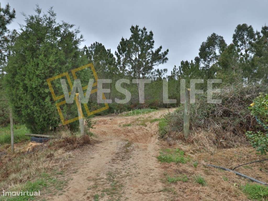 Terreno no Sobral de Abelheira - Terreno rústico / agrícola de 5025m2 - Grande imagem: 3/10