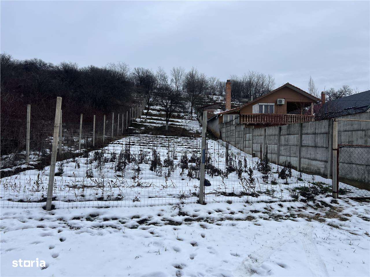 RECO teren intravilan Oradea-3