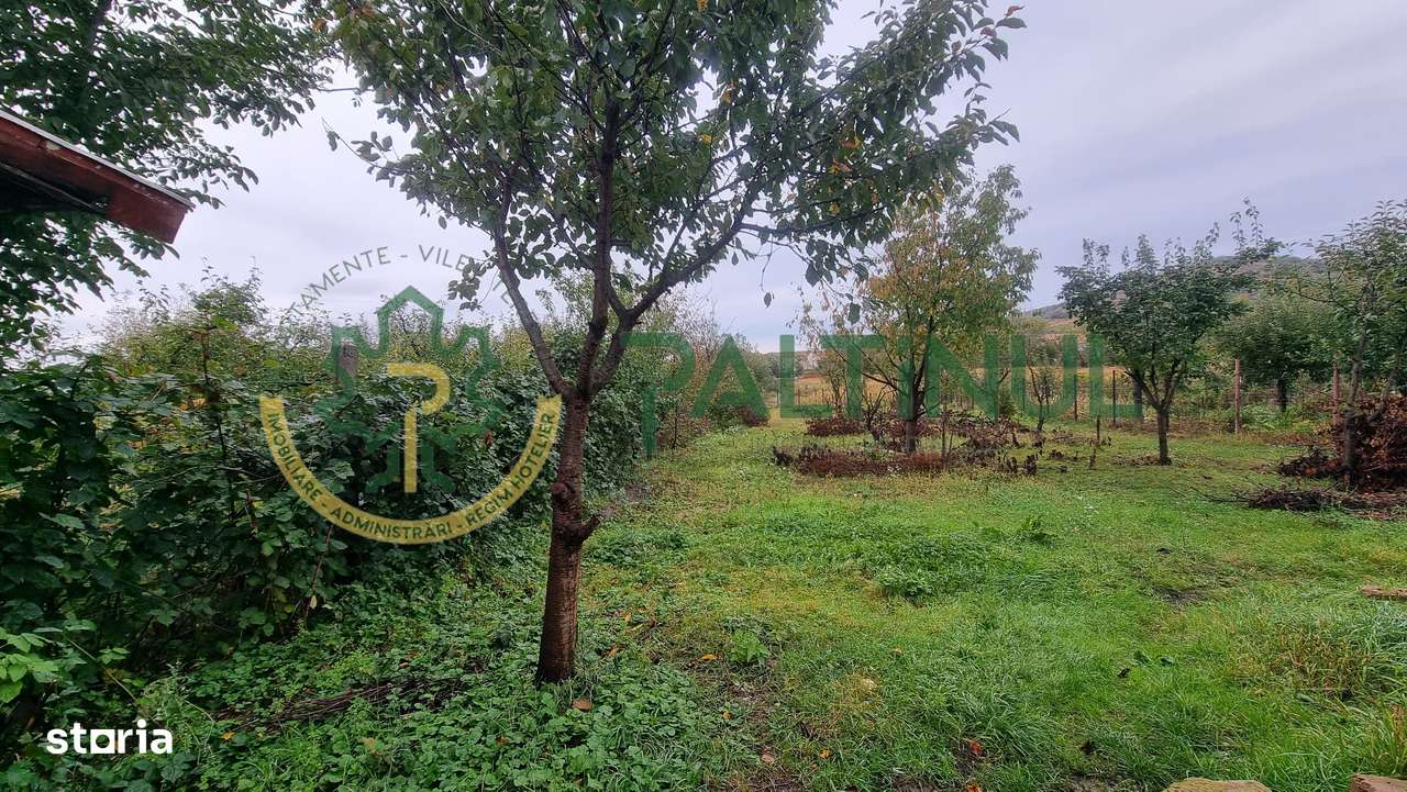 Casă singur în curte, 1.310 mp teren – Gusterița, garaj, pivniță, grăd - Imagine principală: 5/20