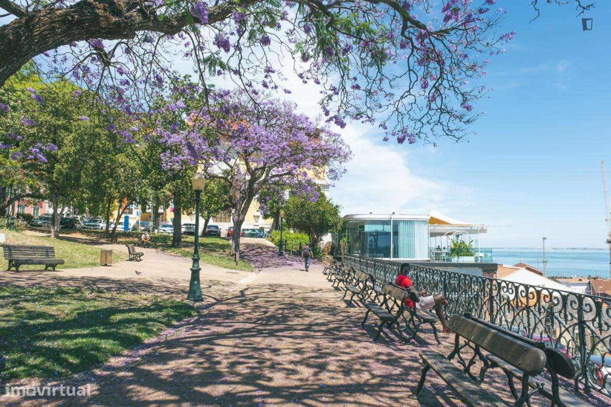 Estúdio - localizado em Lapa Lisbon - Grande imagem: 5/7