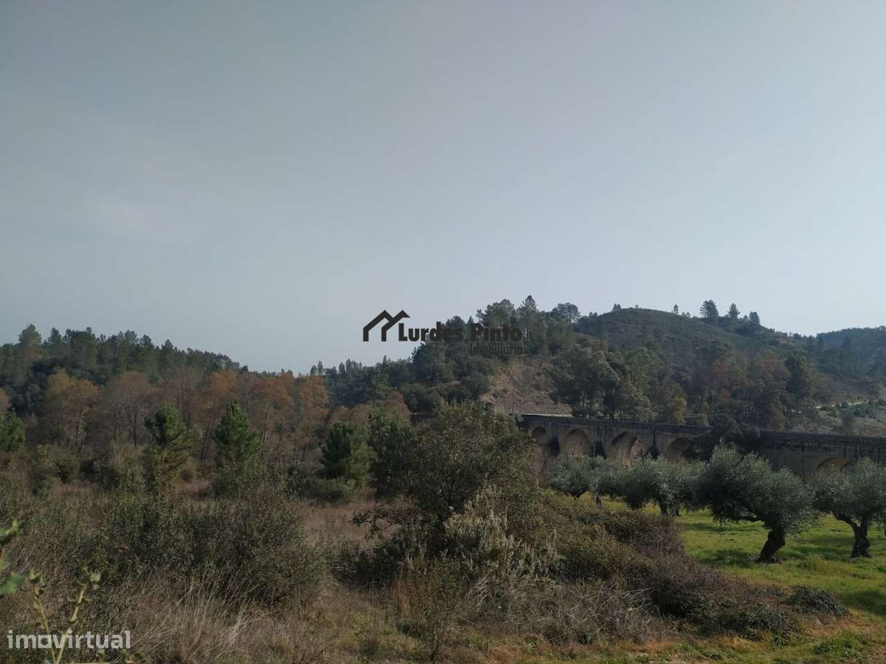 Quinta à beira do rio - Grande imagem: 5/11