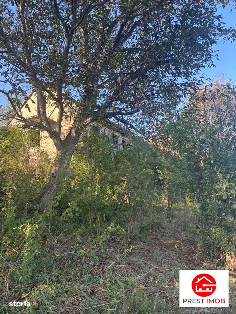 Conac in paragina - Imagine principală: 4/11