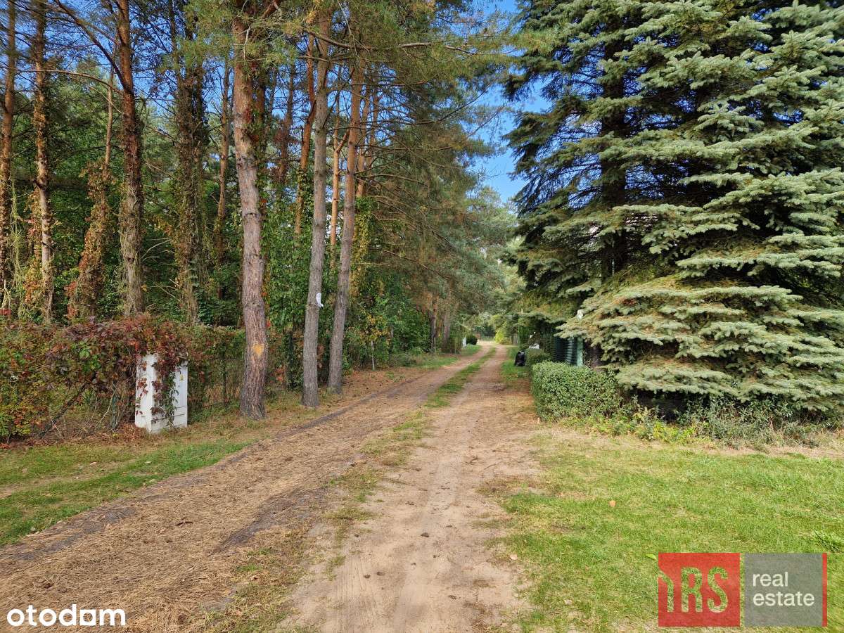 Atrakcyjna działka w dobrej cenie - Pełny obrazek: 5/8