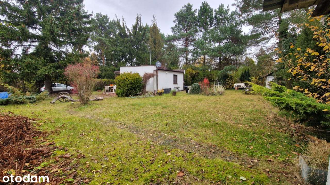 NOWOŚĆ! Działka budowlano-rekreacyjna z dużym potencjałem - Pełny obrazek: 5/6