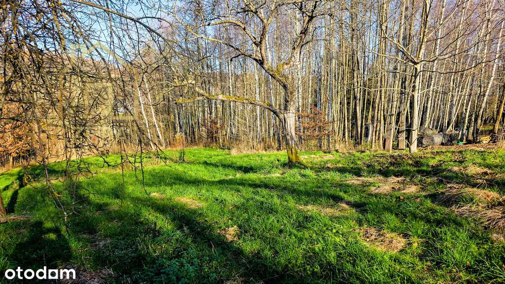 Klimatyczny, drewniany dom wśród drzew-10