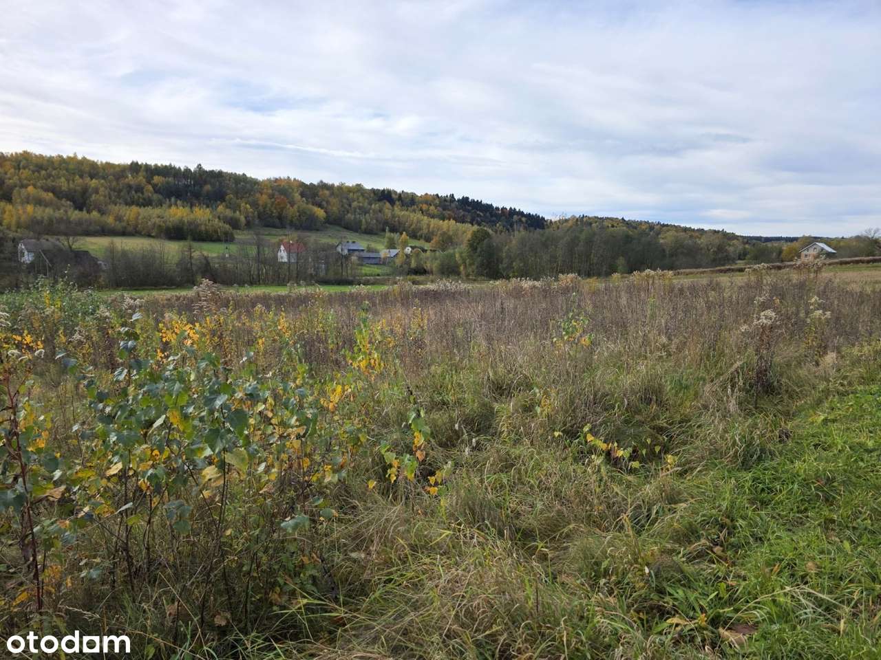 Piękne widoki, cisza i spokój – działka 23 ary w Ołpinach-18