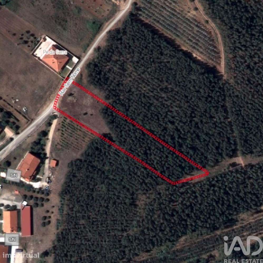 Terreno Agrícola em Rio Maior - Grande imagem: 2/8