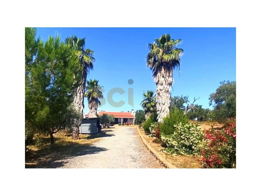 Quinta Agrícola, em Vila Nova de São Bento, excelente refugio - Grande imagem: 5/56