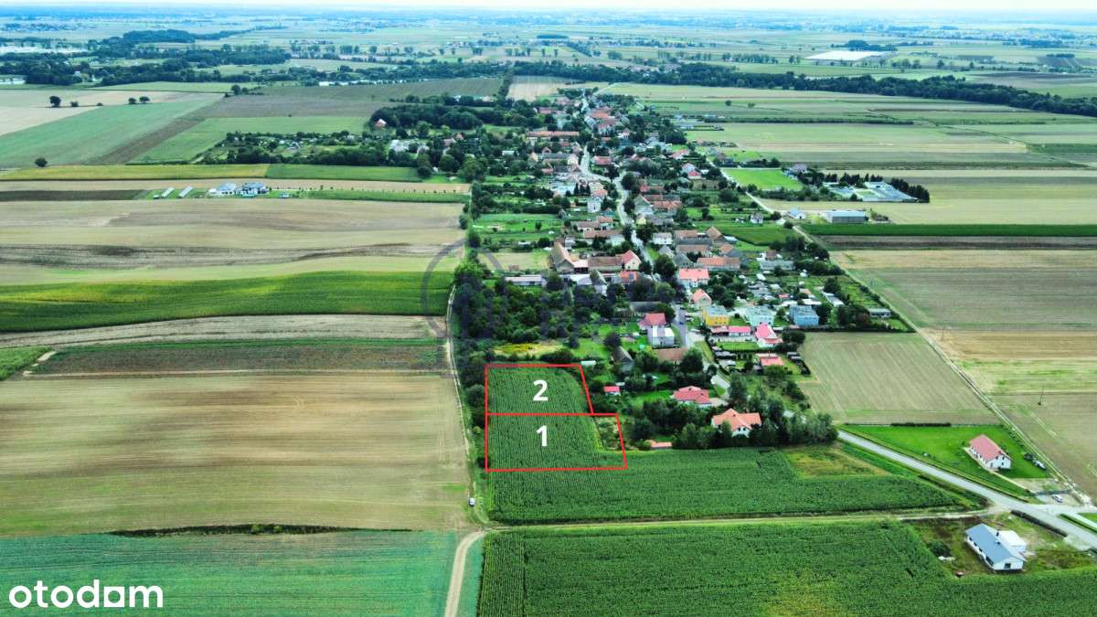 2 działki budowlane| 10 minut od Oleśnicy - Pełny obrazek: 5/5