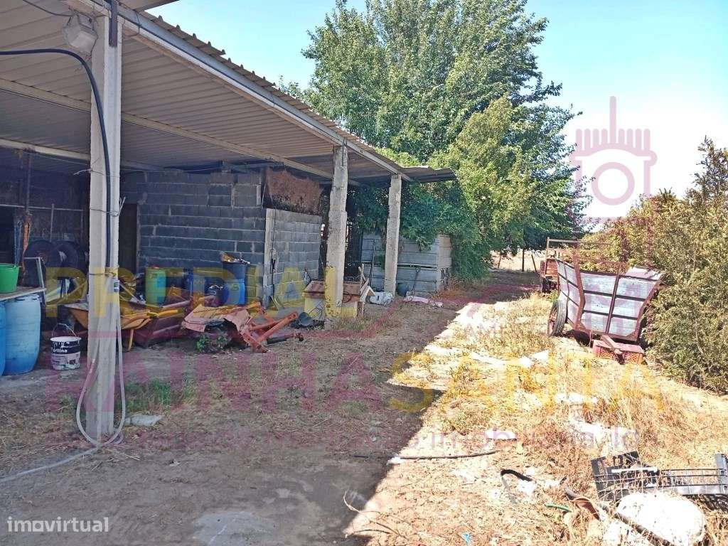 Herdade toda murada com artigo urbano 1460 m2 e rústico com 16.280 m2-8