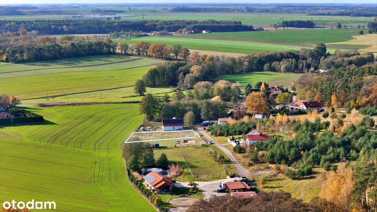Żabno, działka budowlana, Żabi Gród - Pełny obrazek: 5/7