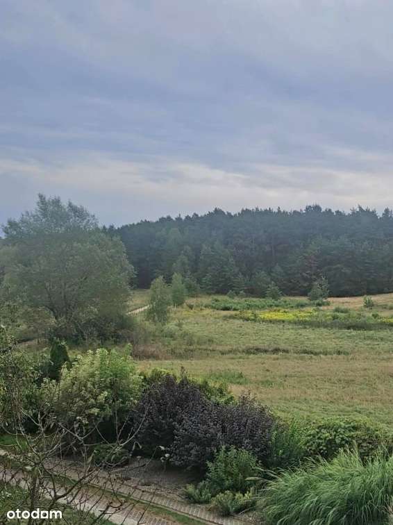 Otoczony naturą  rodzinny dom z możliwością inwestycyjną-2