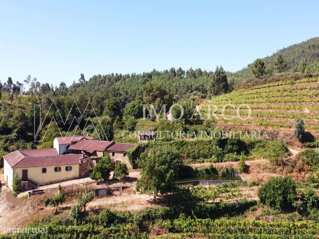 Vila Nune, CRUJEIRA-26