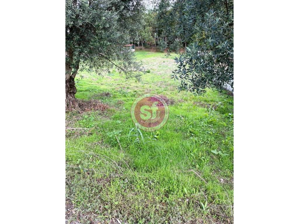 Terreno para construção! - Grande imagem: 2/3