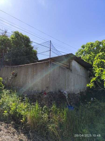 Casa com terreno - Grande imagem: 4/8