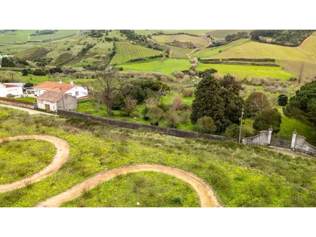 Quintinha com 3 hectares a 5 minutos de Torres Vedras - Grande imagem: 4/12