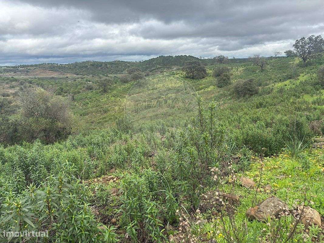 Terreno  para venda - Grande imagem: 3/9