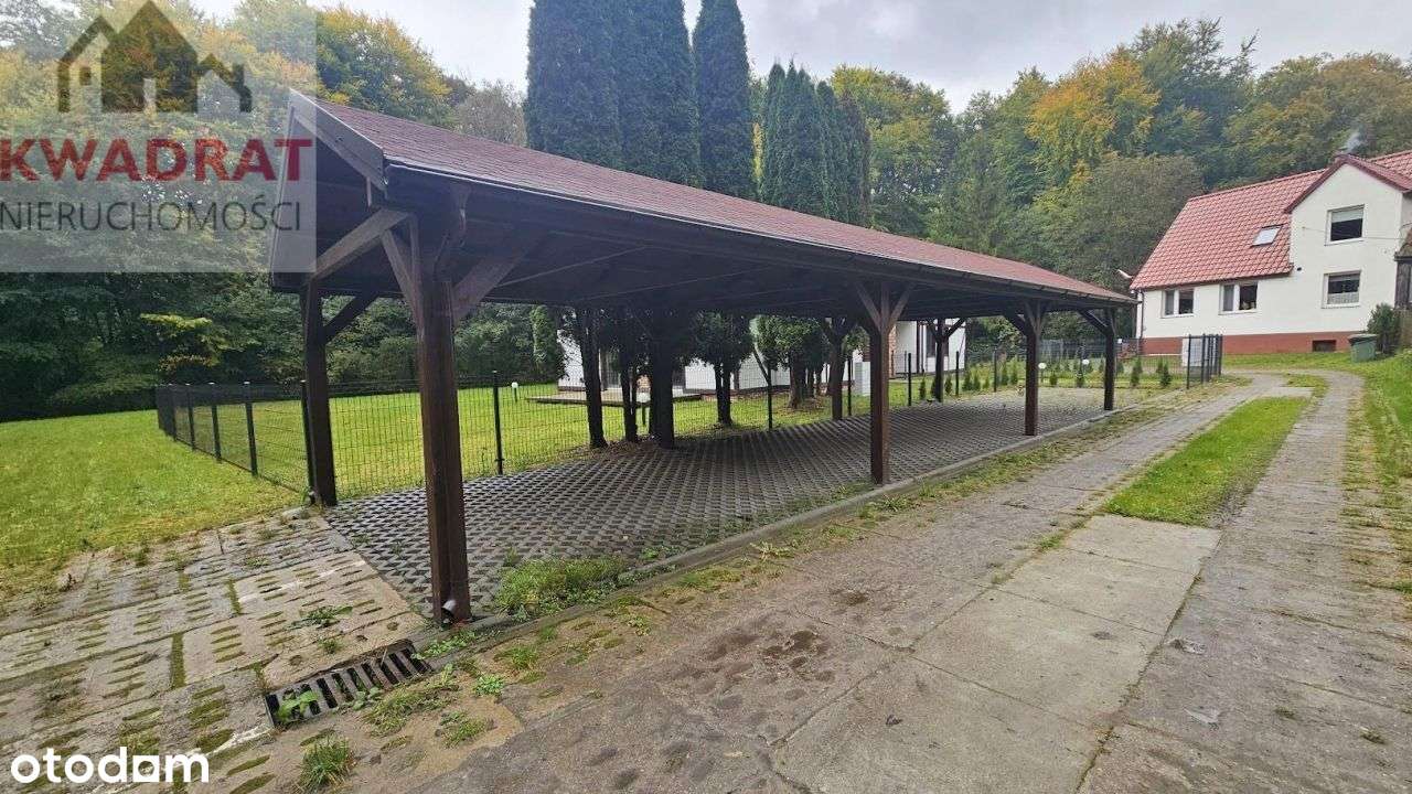 Dom przy ścianie lasu w Bażantarni obok strumyka.-6