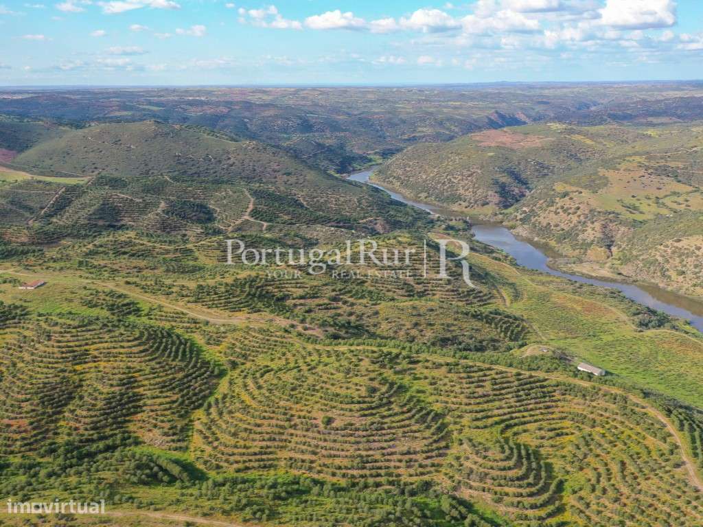 Herdades de Caça com 1300 Hectares, junto do rio Guadiana-48